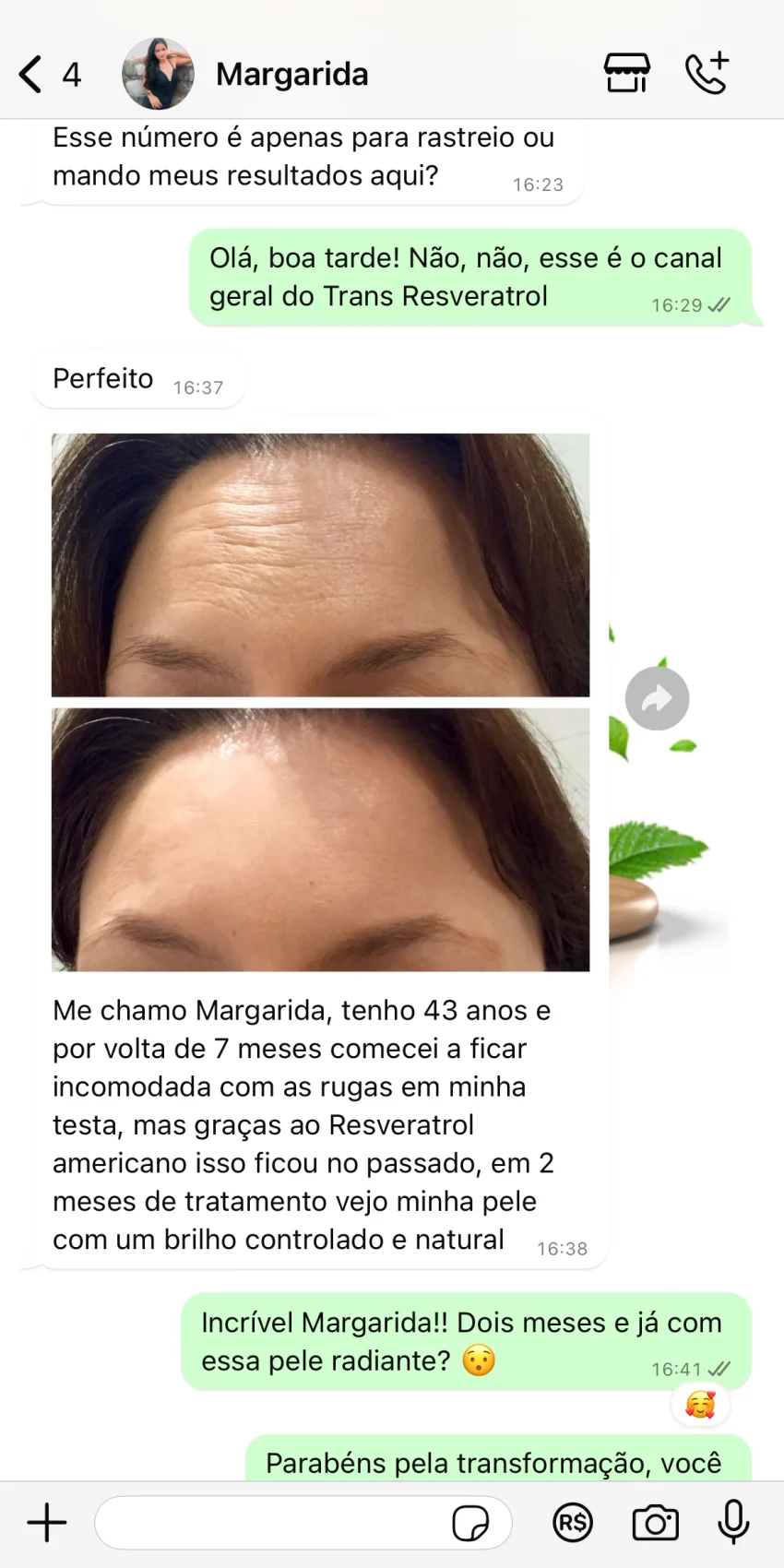 Margarida