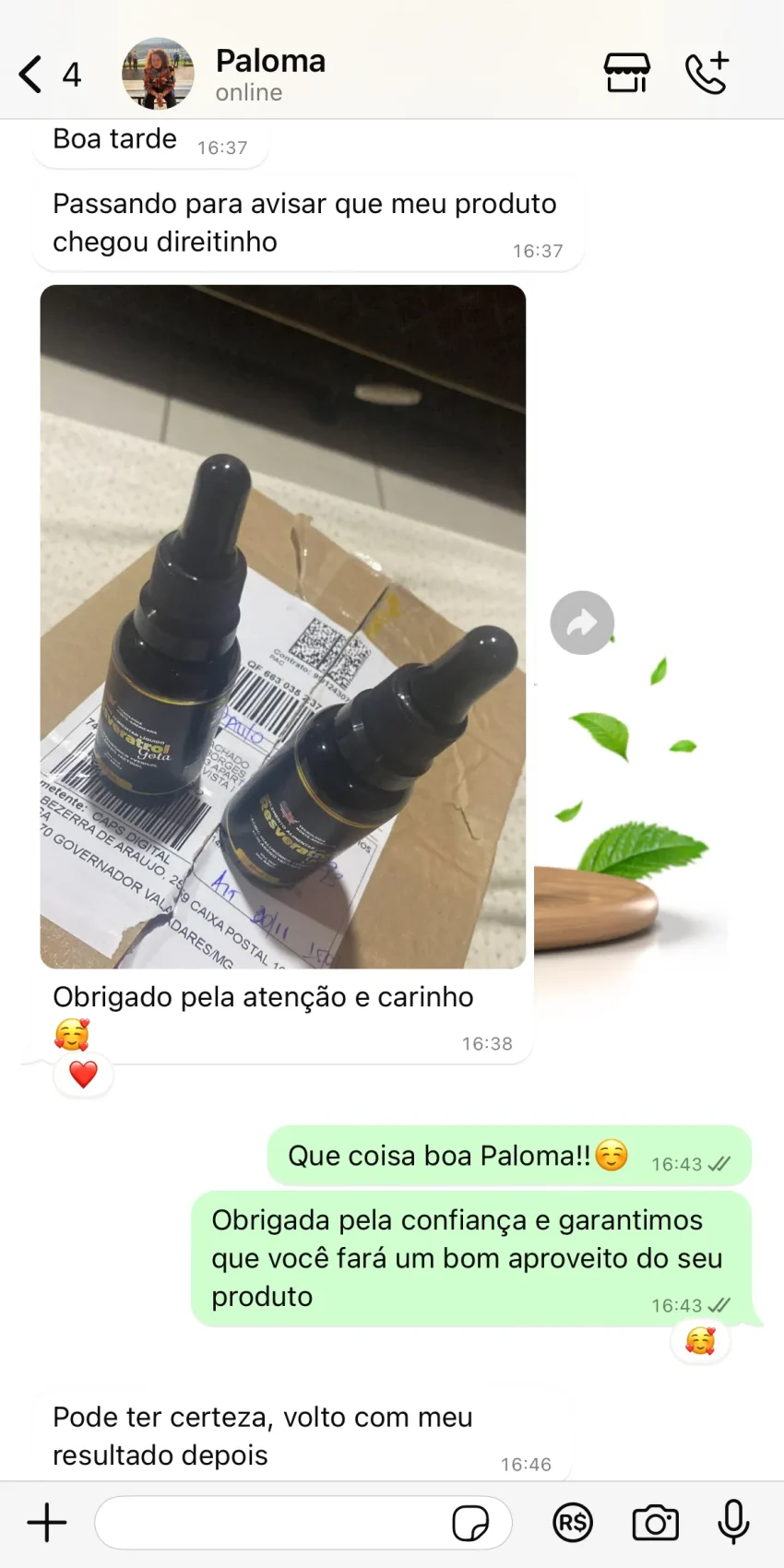 Paloma (frascos)